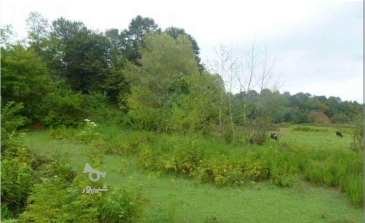 فروش زمین دارای سند تک برگ